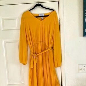 Lane Bryant beauty curve dress